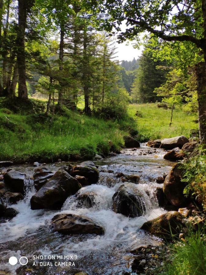 L'Armazan - Studio Pieds De Piste Plat D'Adet Сен-Лари-Сулан Экстерьер фото